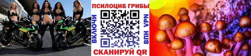 Галлюциногенные грибы мухоморы  где купить наркотик  Бабушкин 